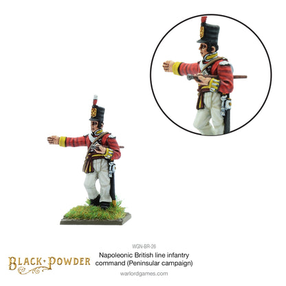 Black Powder: British - Napoleonic British Line Infantry command (Pensinsular War)