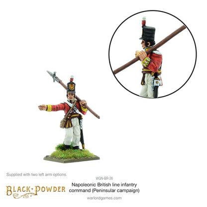 Black Powder: British - Napoleonic British Line Infantry command (Pensinsular War)