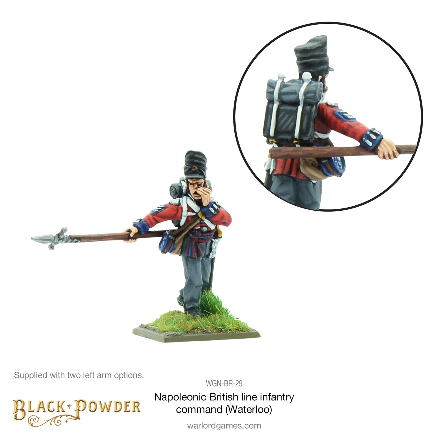 Black Powder: British - Napoleonic British Line Infantry command (Waterloo campaign)