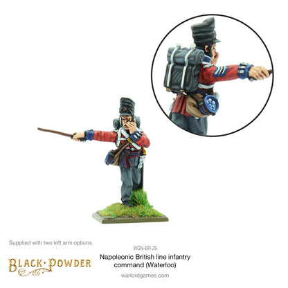 Black Powder: British - Napoleonic British Line Infantry command (Waterloo campaign)