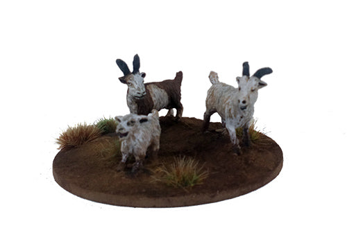 Dead Man's Hand - A Tribe of Goats (6)