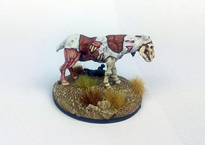 Rotten Horses