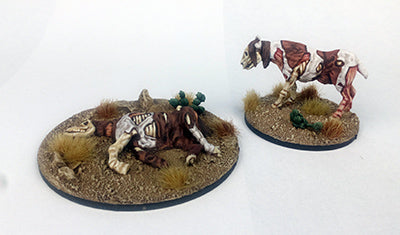 Rotten Horses