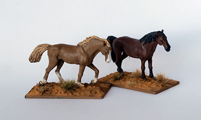 DMH - Unbridled Horses