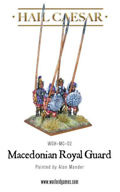 Hail Caesar: Aegean States - Macedonians: Royal Guard plastic boxed set
